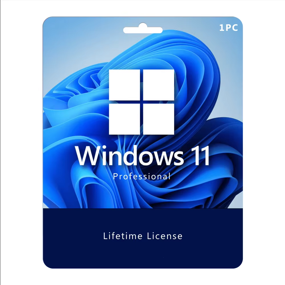 Windows 10 + 11